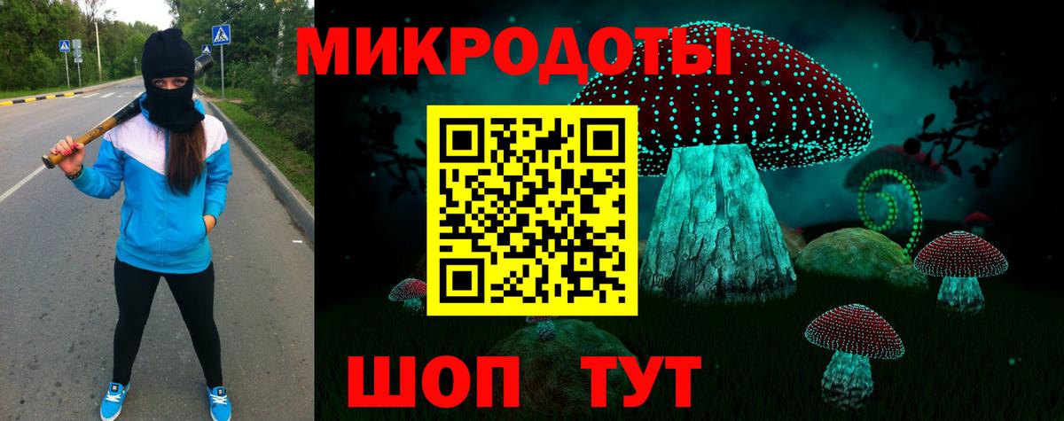 Псилоцибиновые грибы мицелий Лосино-Петровский