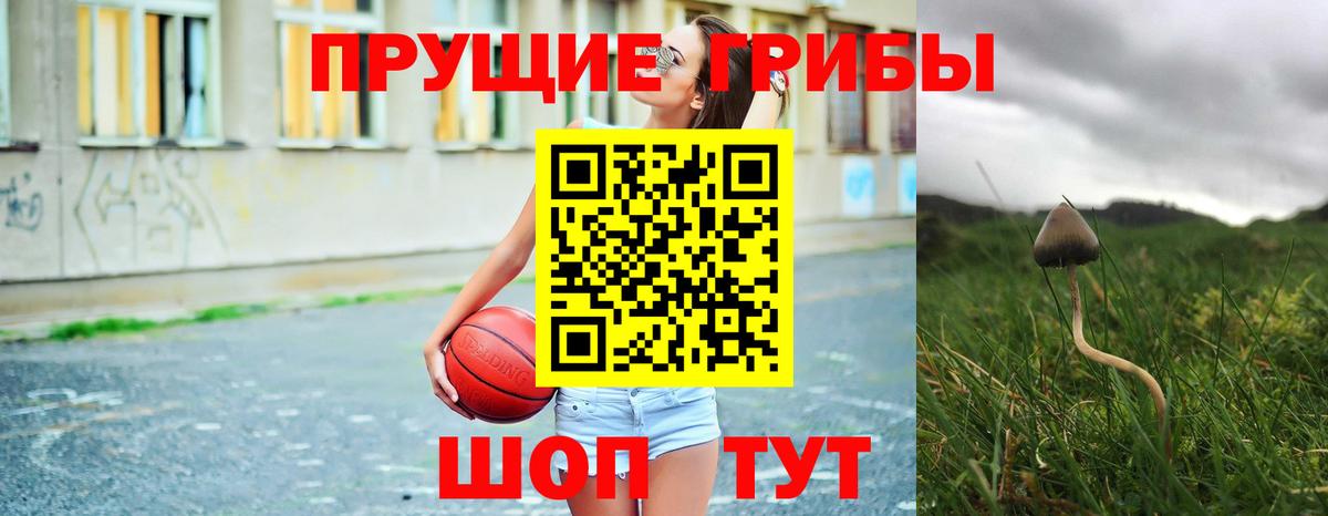 Псилоцибиновые грибы прущие грибы  Вход с VPN  Лосино-Петровский  Галлюциногенные грибы Psilocybine cubensis 